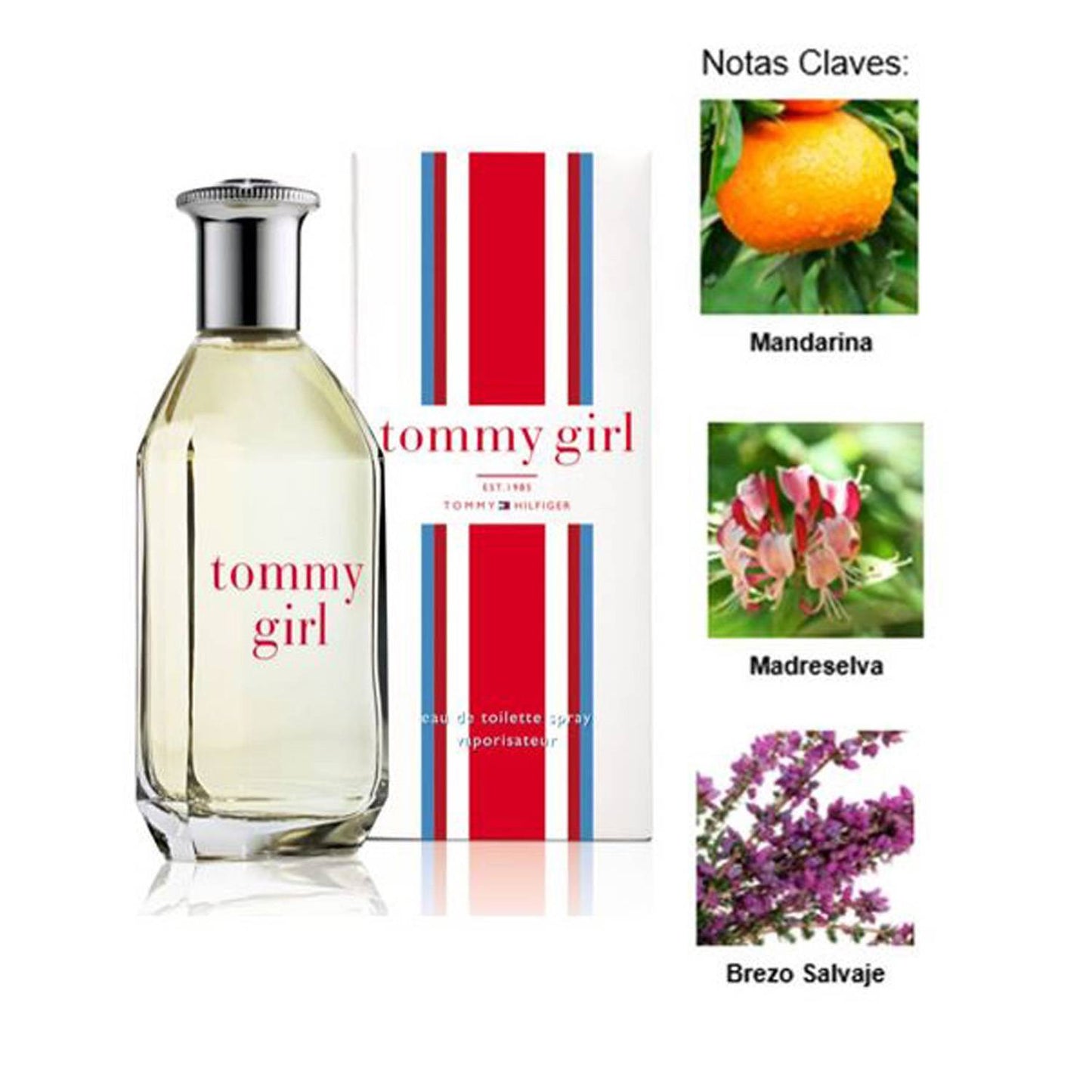 Tommy Girl