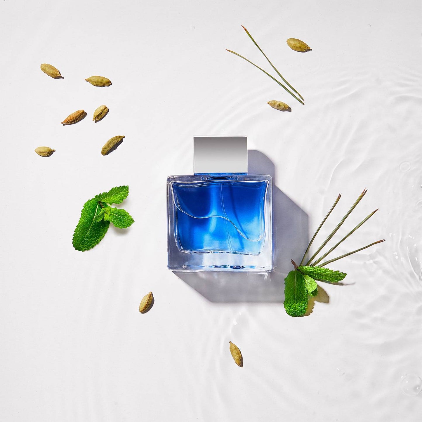 Blue Seduction - Hombre