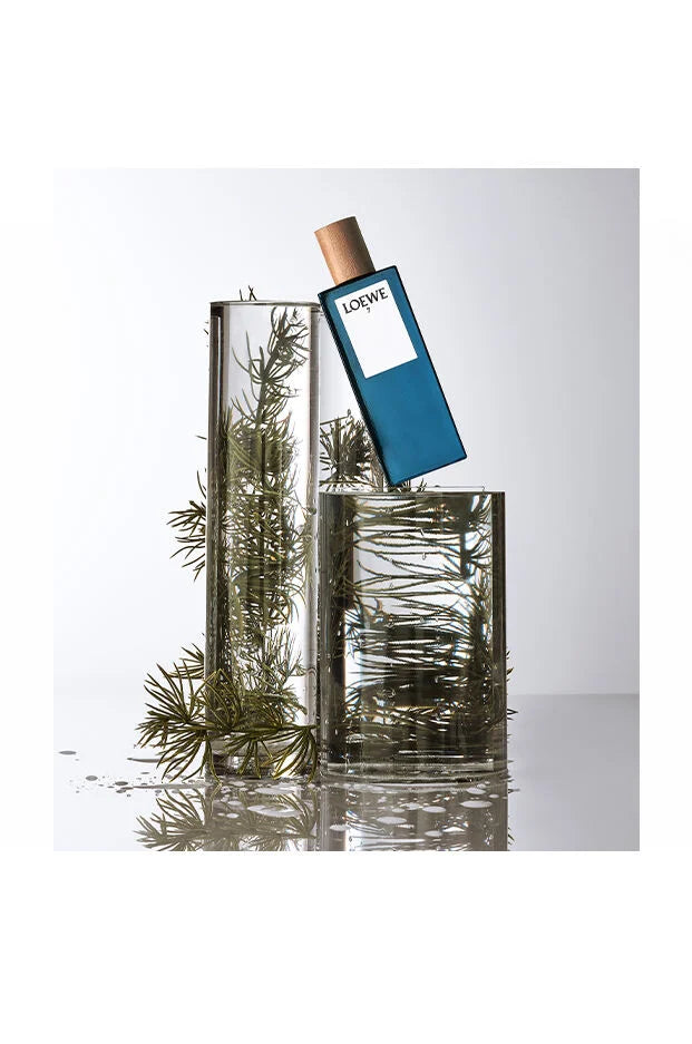 Loewe 7