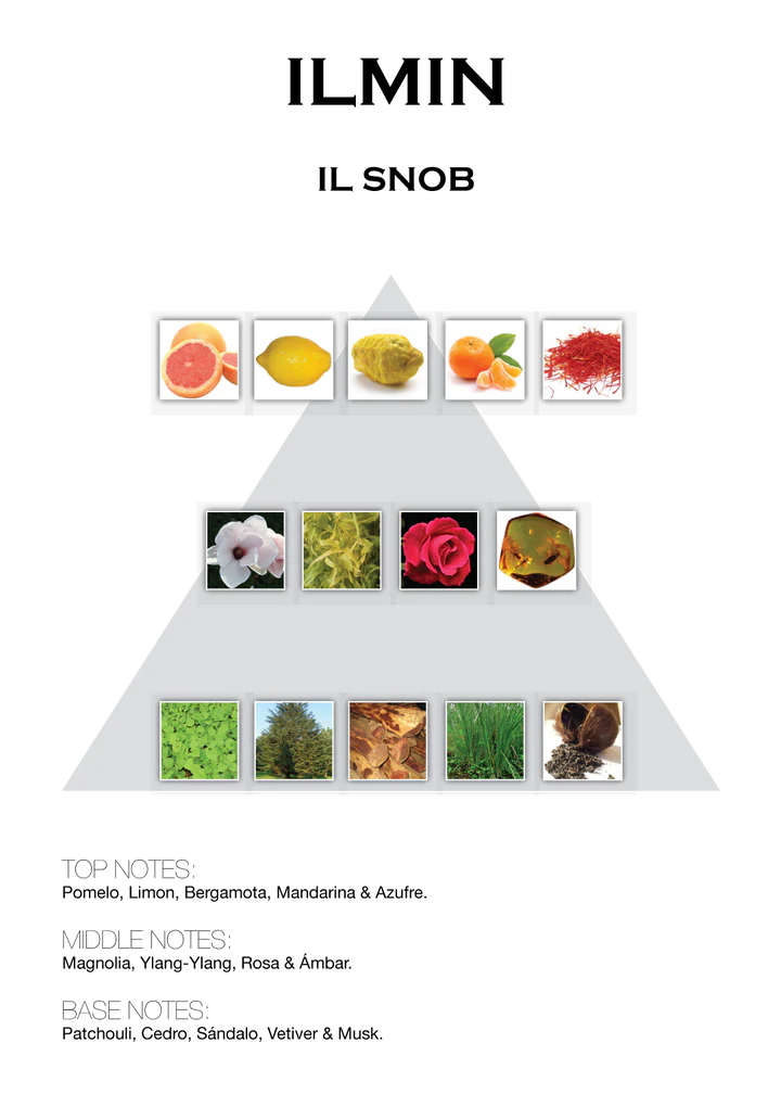 IL Snob