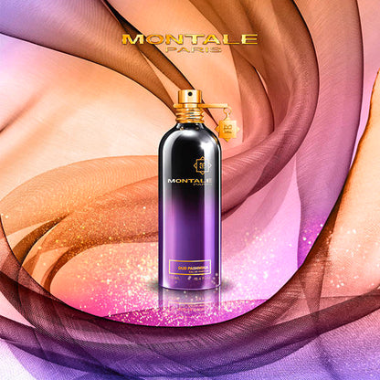 Oud Pashmina
