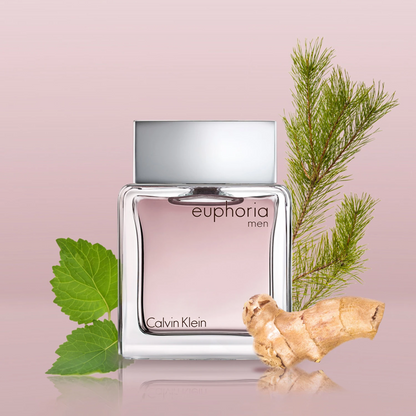 Euphoria Men - Hombre