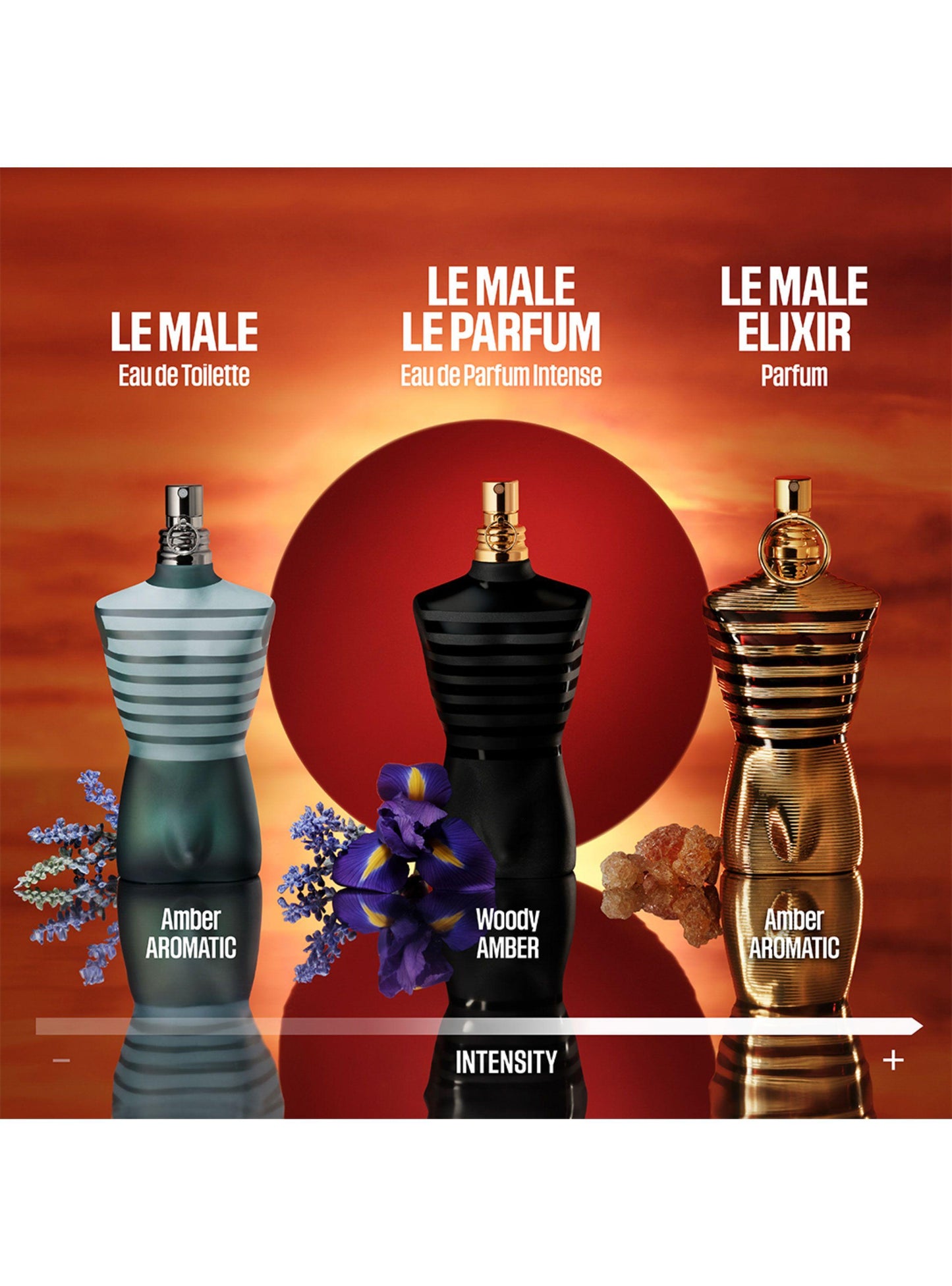 Le Male