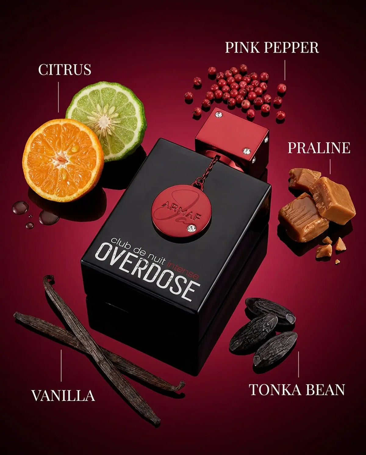 Club de Nuit Intense Overdose