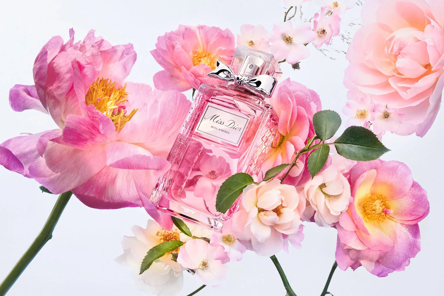 Miss Dior Rose N'Roses
