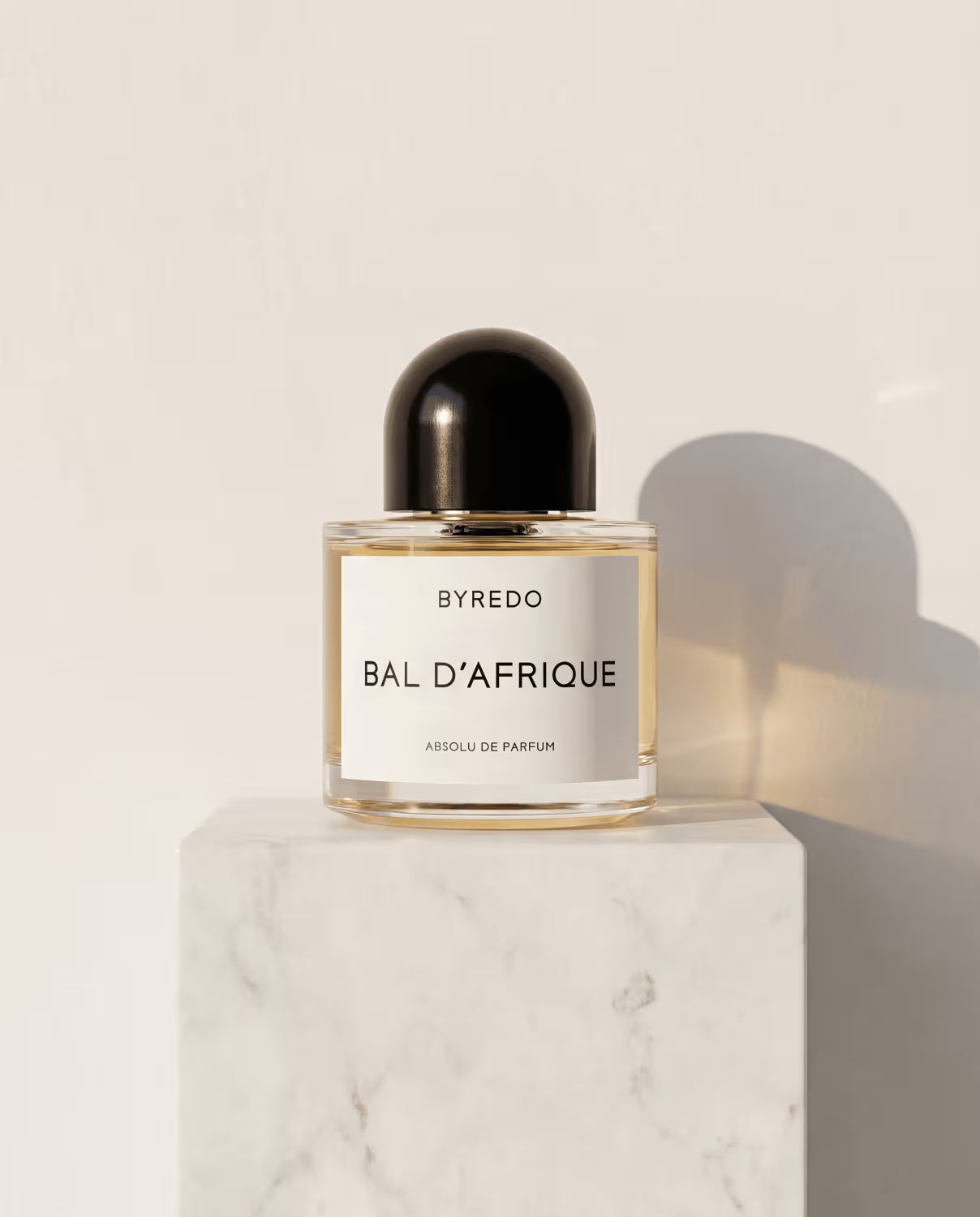 Bal D'Afrique Absolu