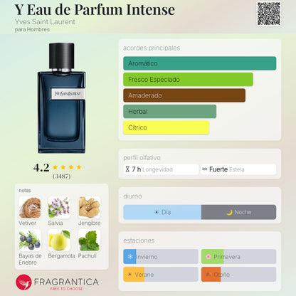Y - Eau de Parfum Intense