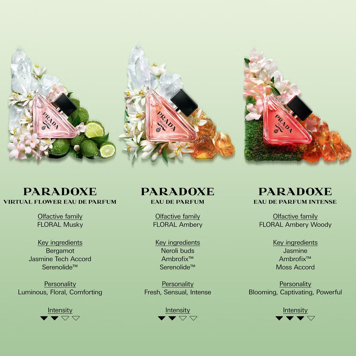 Paradoxe Intense