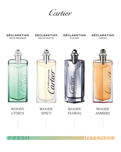 Declaration - Parfum