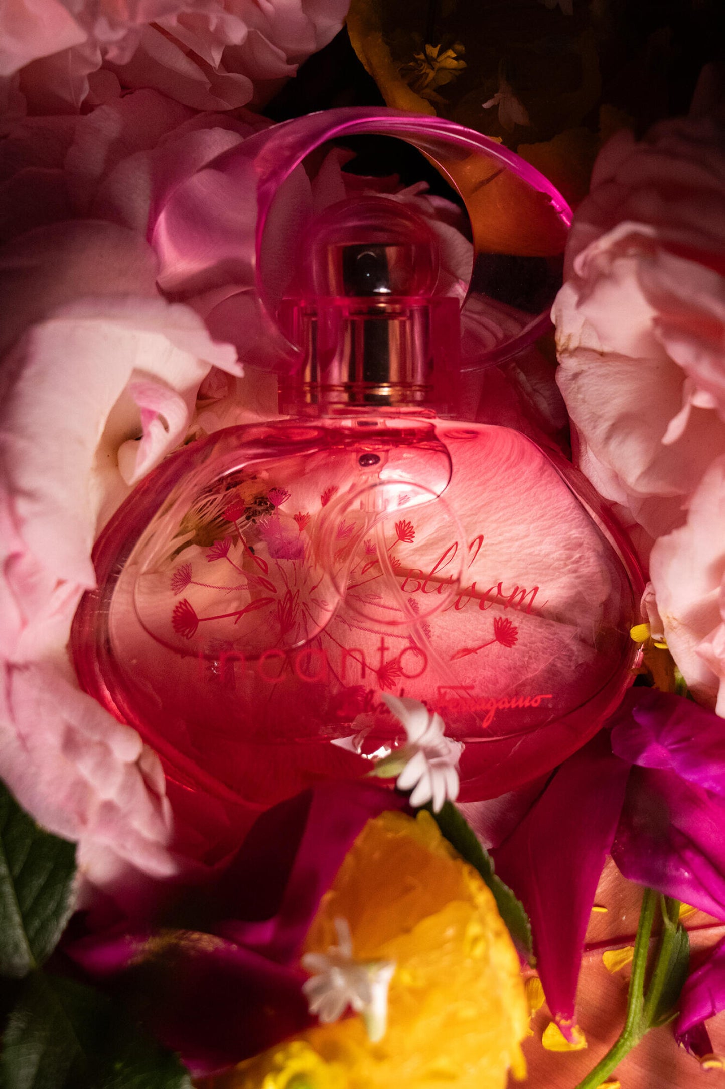 Incanto Bloom