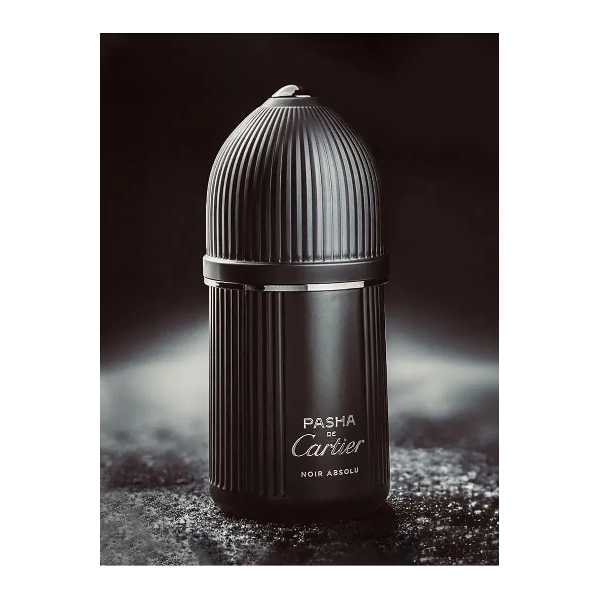 Pasha Noir Absolu