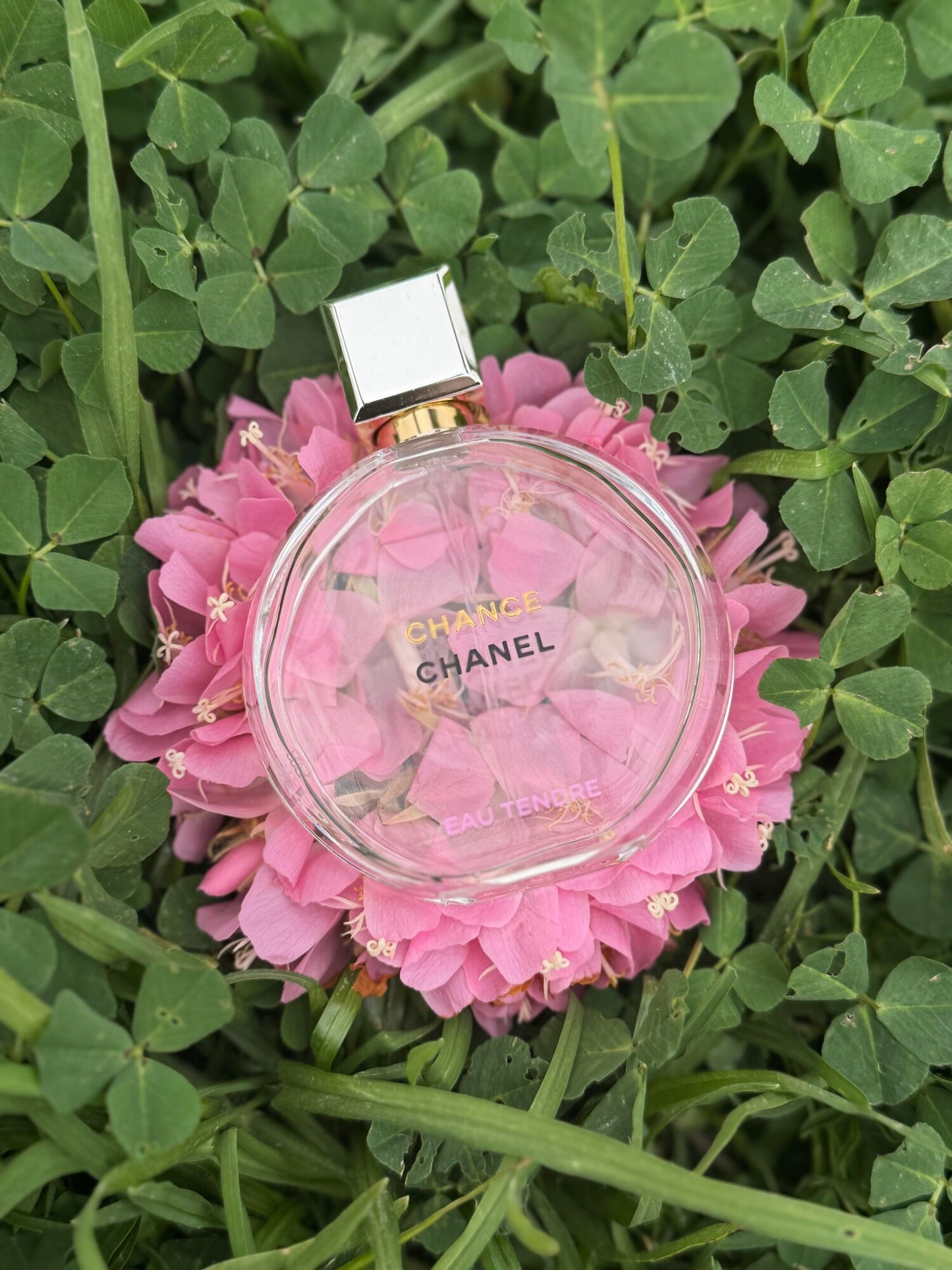 Chance Tendre - Eau de Parfum