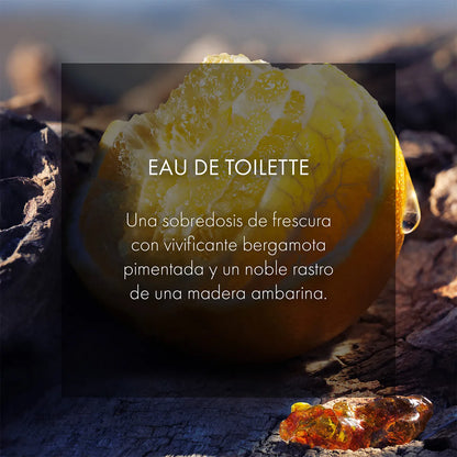 Sauvage - Eau de Toilette (EDT)