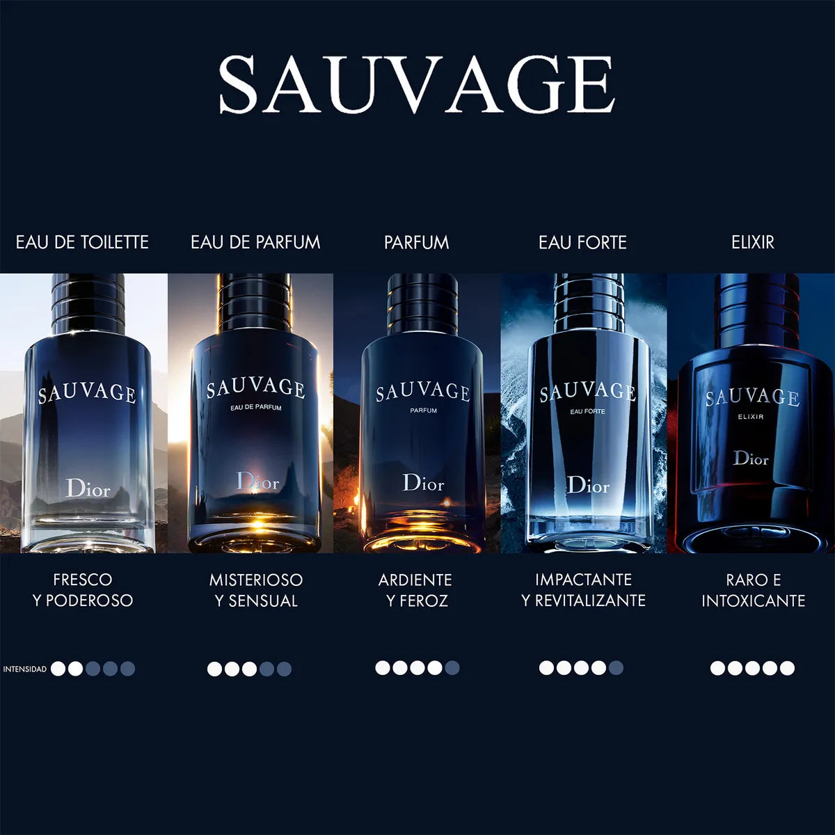 Sauvage Elixir