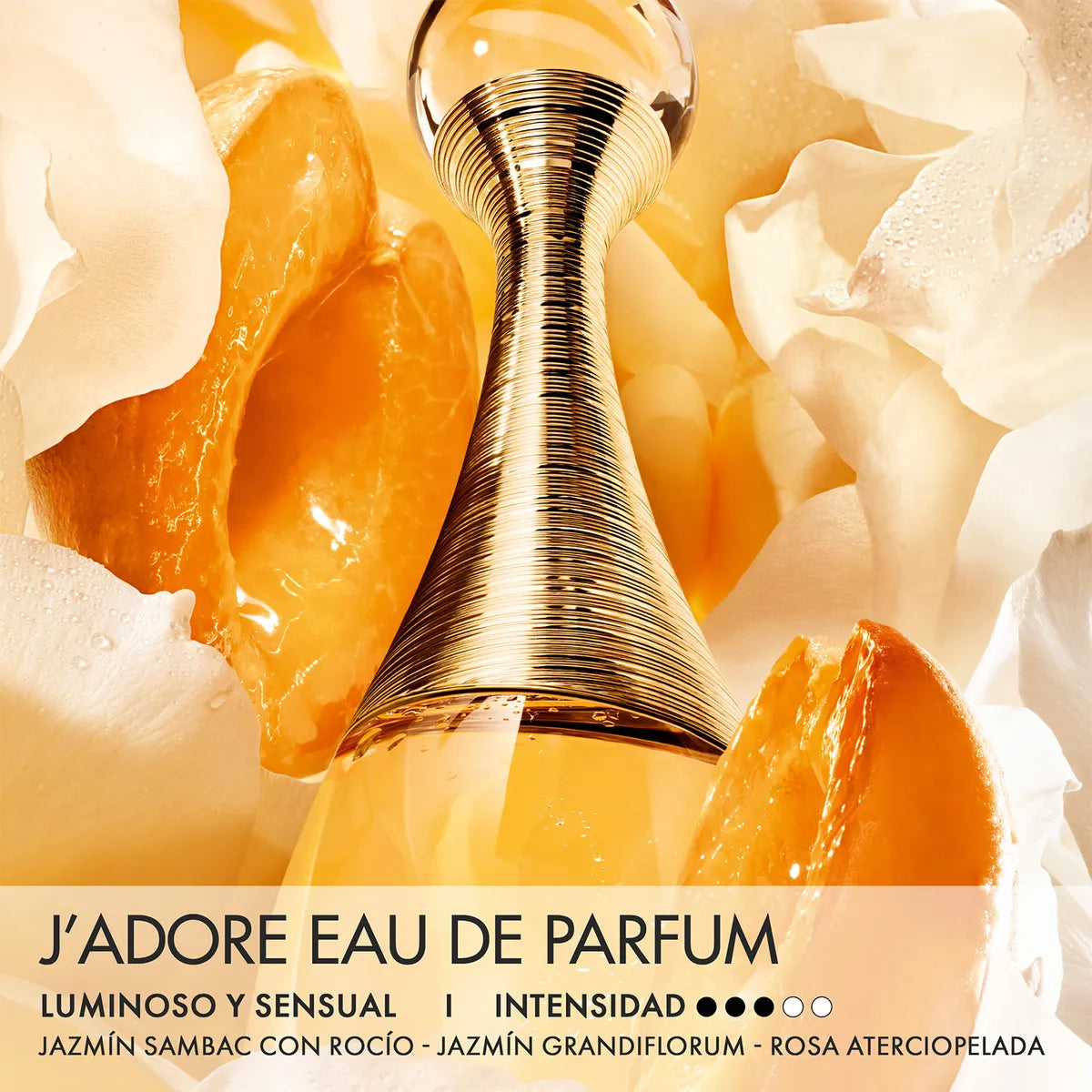 J'adore