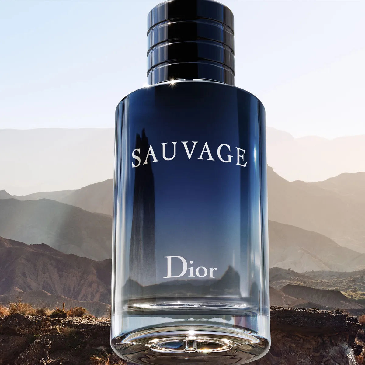 Sauvage - Eau de Toilette (EDT)