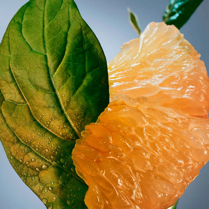 BOSS Bottled Infinite