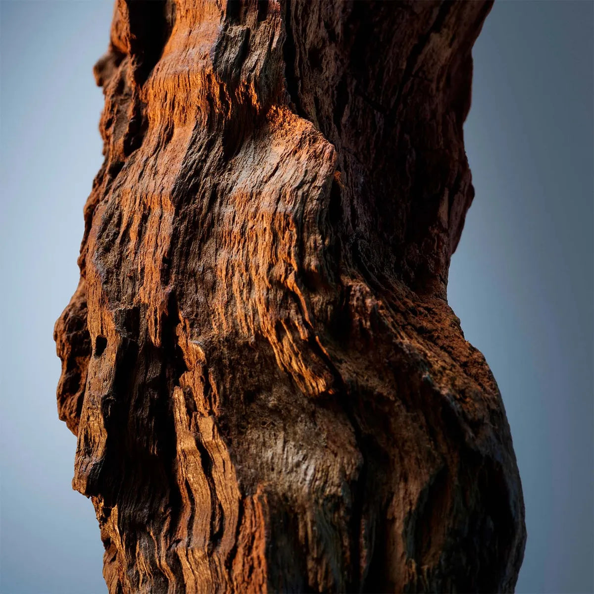 BOSS Bottled Infinite