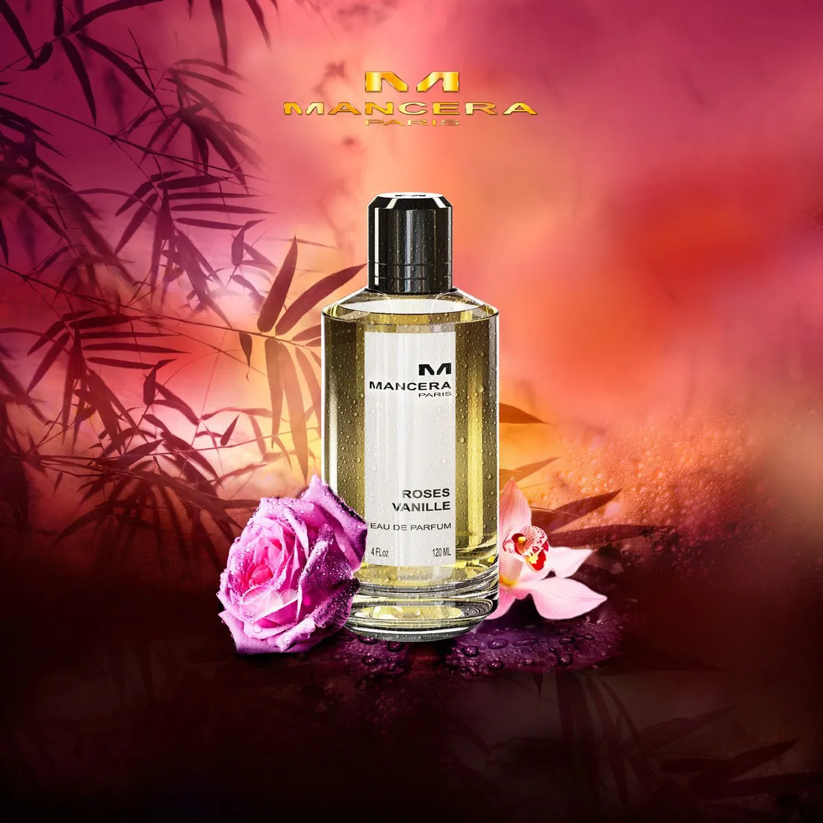 Roses Vanille