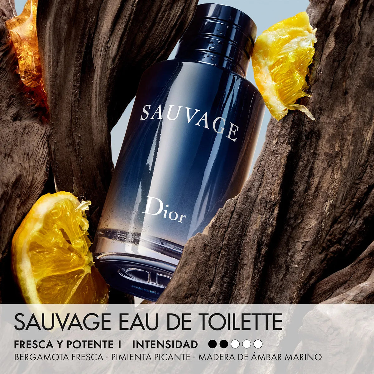 Sauvage - Eau de Toilette (EDT)