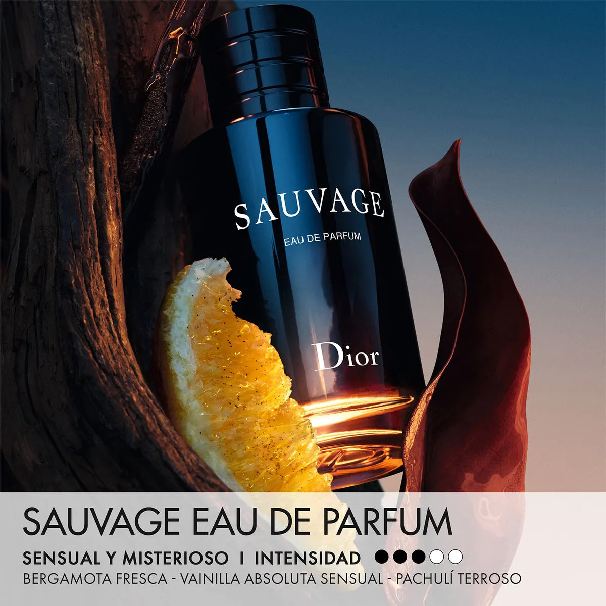 Sauvage - Eau de Parfum (EDP)